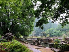 -东湖落雁景区