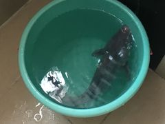 -碧桂园十里银滩