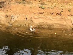 -东郊湿地公园