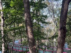 -帽儿山风景区