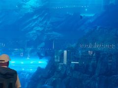 -迪拜水族馆及水下动物园