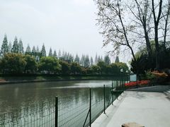 -嘉定紫藤园