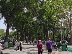 -人民防洪胜利纪念塔