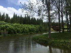 -黄海国家森林公园