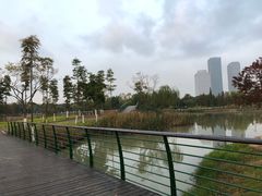 -尚贤河湿地