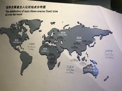 -北京周口店北京人遗址博物馆