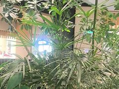 -gaga(深圳福田星河COCO Park店)