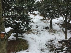 -溪口-滕头旅游景区