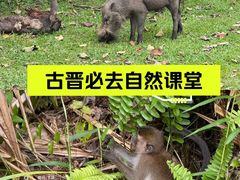 -巴哥国家公园