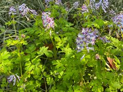 -杭州海军疗养院体检中心