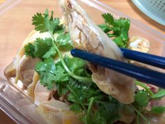 -九斤黄三黄鸡专卖店