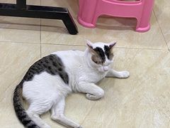 -玉椰林甜品店(创始店)