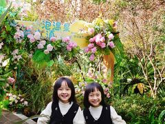 -七彩云南古滇温泉山庄