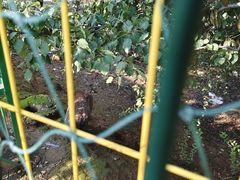 -丽泽山庄·生态怀柔菜·虹鳟鱼(红螺寺店)