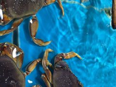 -宝燕海鲜(好爱店)