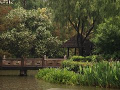 -黄兴公园