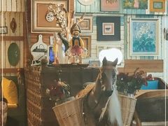 -六月花园咖啡馆(中关村东路店)