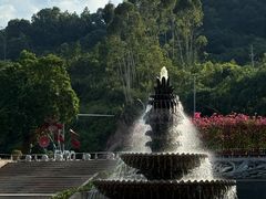 -东南花都花博园