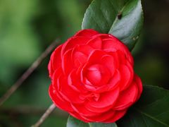 -雁荡山灵岩景区