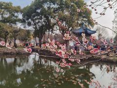-无锡梅园公园