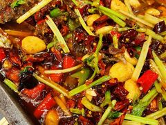 -宝记烧烤·碳锅羊肉·羊蝎子火锅·夜食社(文体路创始店)