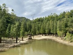 -广州市帽峰山景区