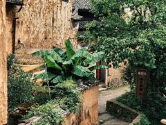 -杨家堂村