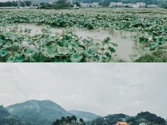 -小洞天柴火土菜馆