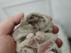 -龙猫仔乐园(惠福东路店)