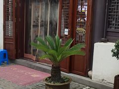 门面-孙盛兴奥灶面馆·蟹黄面·三虾面(山塘街总店)