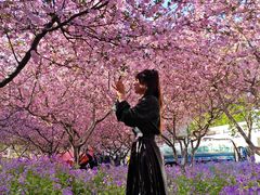 -白塘生态植物园