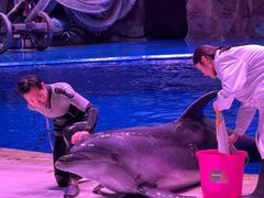 -华夏文旅海洋公园