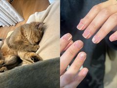 -四川大学华西口腔医院(华西院区)