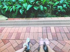 -香港大学