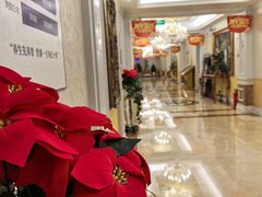 -汤泉良子.足疗按摩.SPA(中关村店)