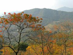 -广州市石门国家森林公园