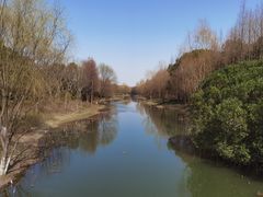 -贡湖湾湿地公园