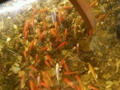 -颐和•海鲜砂锅粥•啫啫煲(奥林匹克广场店)