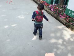 -揭东万竹园旅游景区