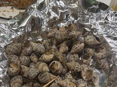 -陶缘一号·四季缘·老字号顺德菜·户外婚礼家宴(西滘店)