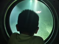 -白鹤梁水下博物馆