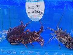 -松雅轩商务婚礼生日(同和店)