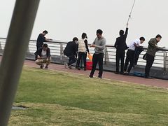 -野狸岛