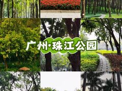 -广州珠江公园