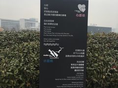 -琴岛之星摩天轮