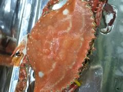 -叶存利海鲜大馅饺子(东戴河止锚湾店)