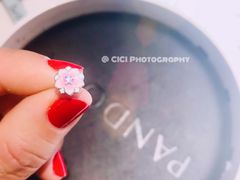 木兰花系列-Pandora潘多拉珠宝(虹口龙之梦店)