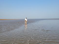 -刘家湾赶海园