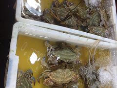 -都斛海鲜街