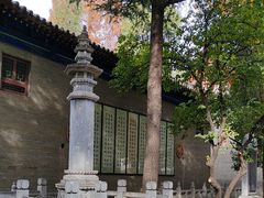 -兴教寺